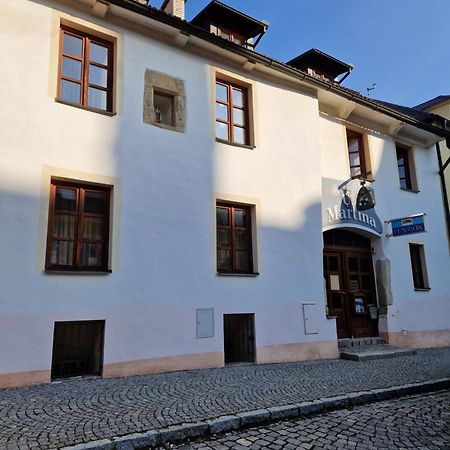 Pension U Martina Домажлице Экстерьер фото